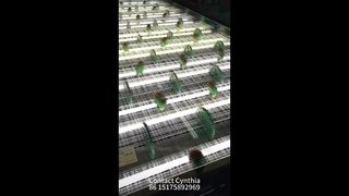 Tersedia Berbagai Gaya Jaring Laminasi Kaca