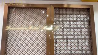 Video Pemotretan Sebenarnya dari Jaring Dekoratif Logam